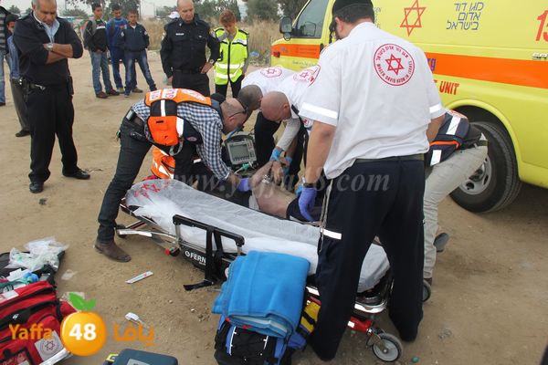 ludis3af0114 (15).JPG